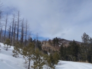 view_part_2