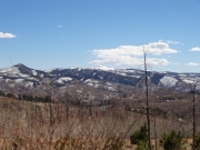 spring_is_coming
