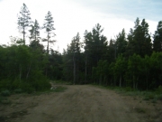 easy_trail