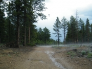fog_part_1