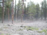 fog_part_2