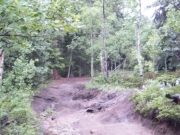 muddy