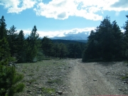 nice_view