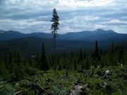 big_view