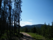 blue_sky