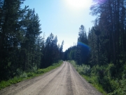 early_trail