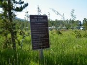 entrance_station_part_5