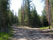 fork_in_the_trail