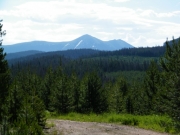 mountain_view