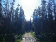puddles
