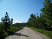 road_after_entrance_station