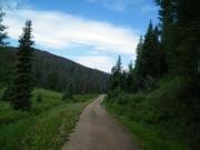 trail_in_green