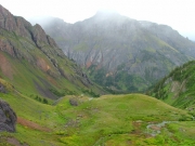 lush_green