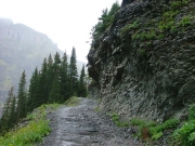 trail_climbing