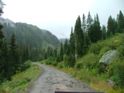 wet_trail