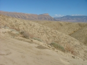 mesa