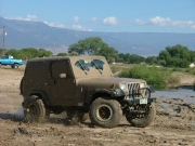 robert_muddy