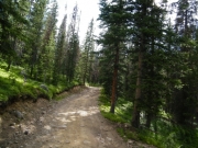 early_climb