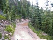 mud_puddles