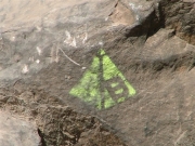 green_harder_trail