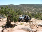 kendall_on_the_trail