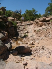 rocky_section