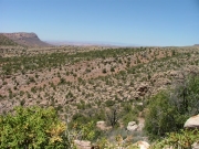 view_from_the_top