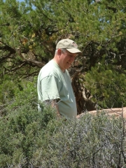 walt_watching