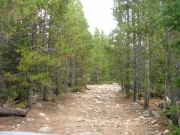 bumpy_trail