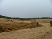 fall_colors