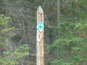 follow_arrows