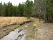 former_long_trench