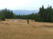 mountain_view