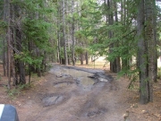 muddy_1