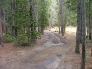 muddy_2