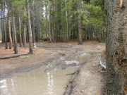 muddy_3