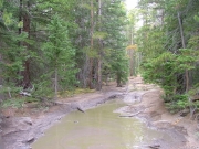 muddy_4