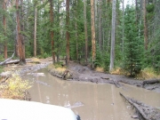 muddy_6