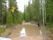 muddy_7