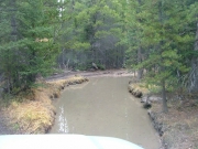 muddy_8