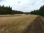 nice_view