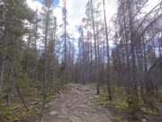 bumpy_climb