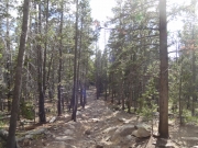 down_a_rocky_hill