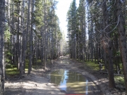 long_puddle