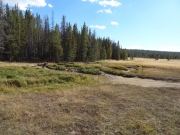 meadow_part_1