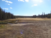 meadow_part_2