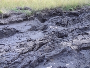 pit_part_1