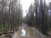 wide_puddle
