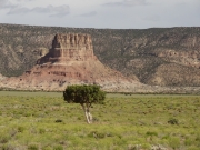 chimney_rock_and_tree
