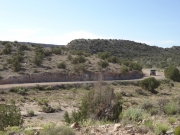 walt_on_the_trail